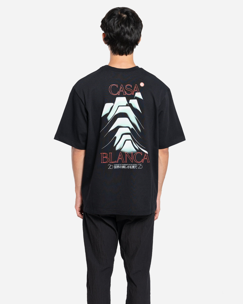 T-Shirt Frosty Mountain