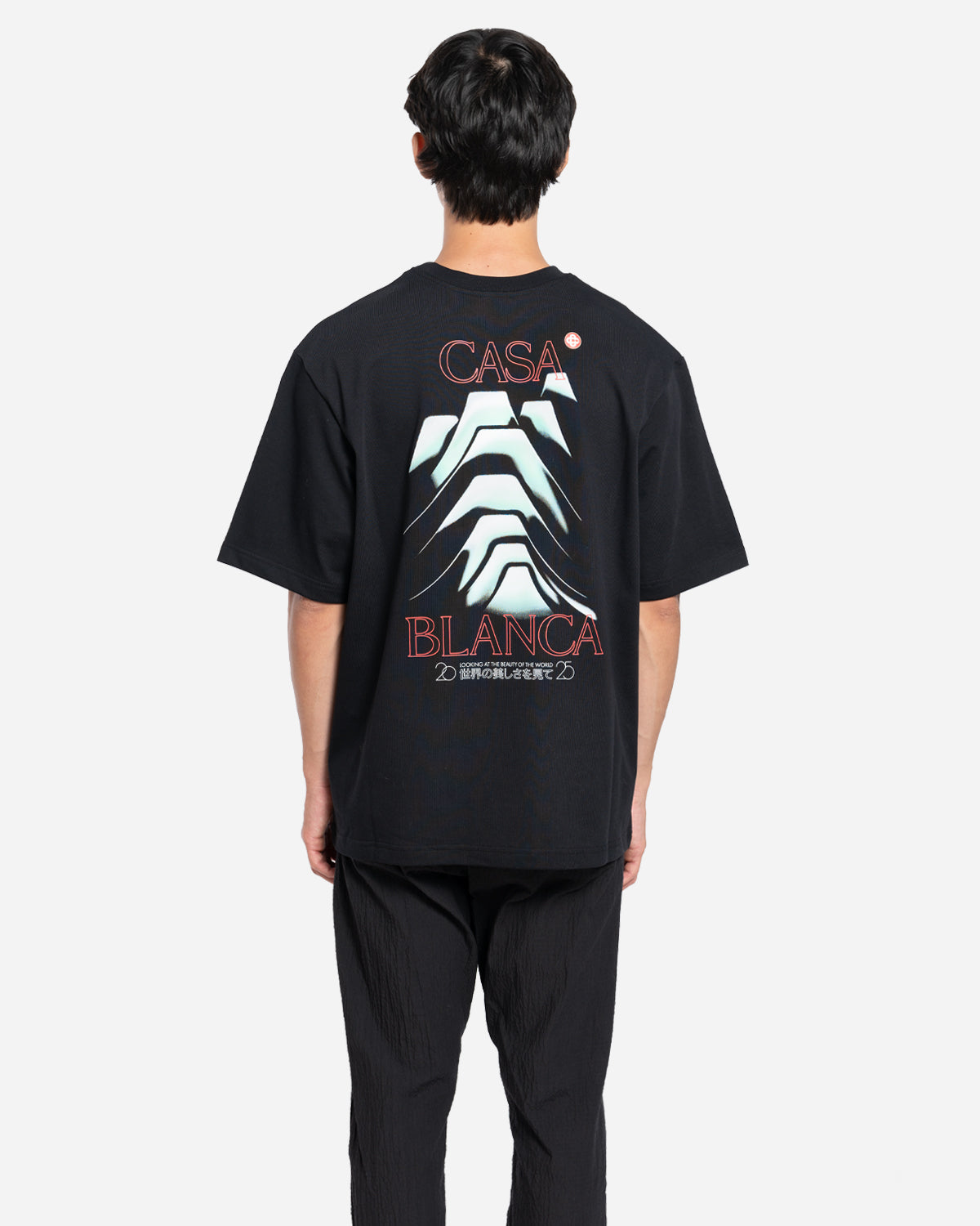 T-Shirt Frosty Mountain