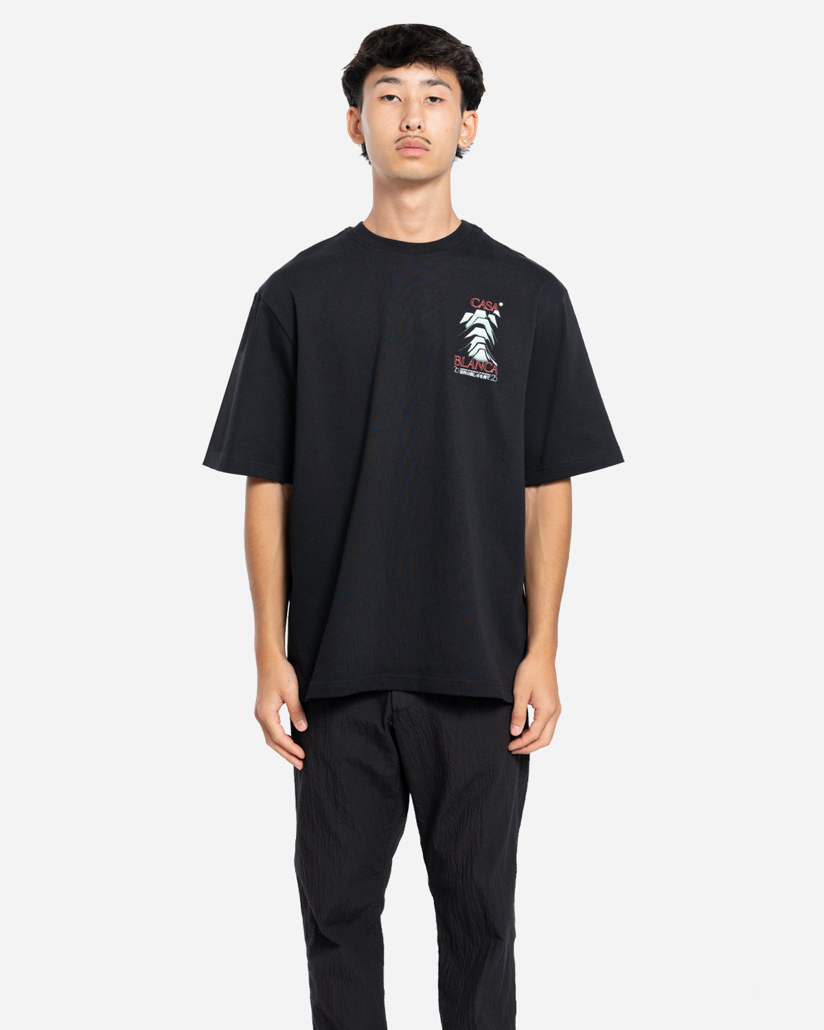 T-Shirt Frosty Mountain