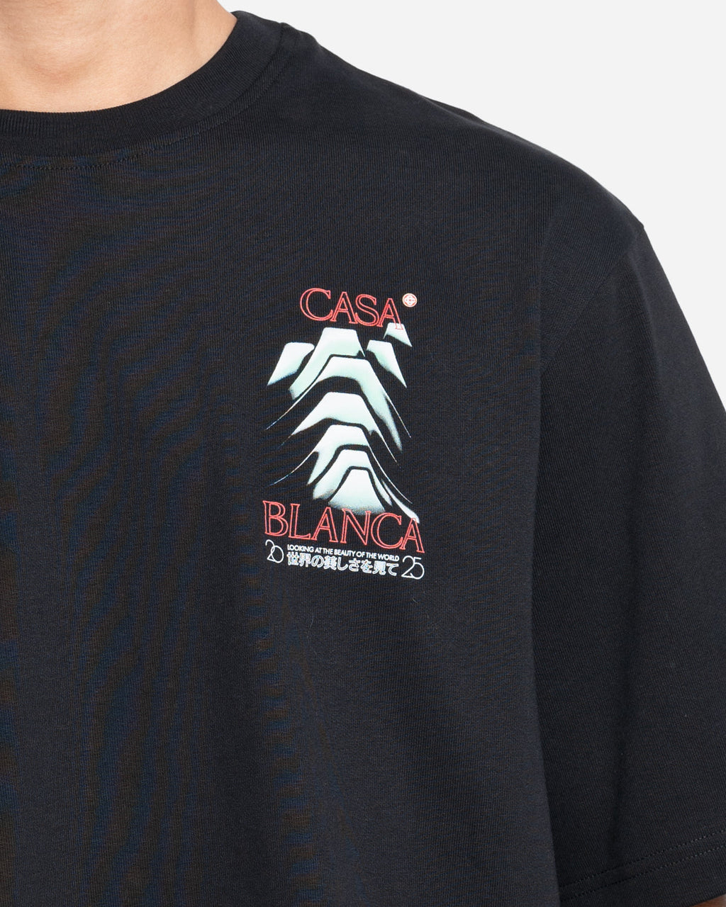 T-Shirt Frosty Mountain