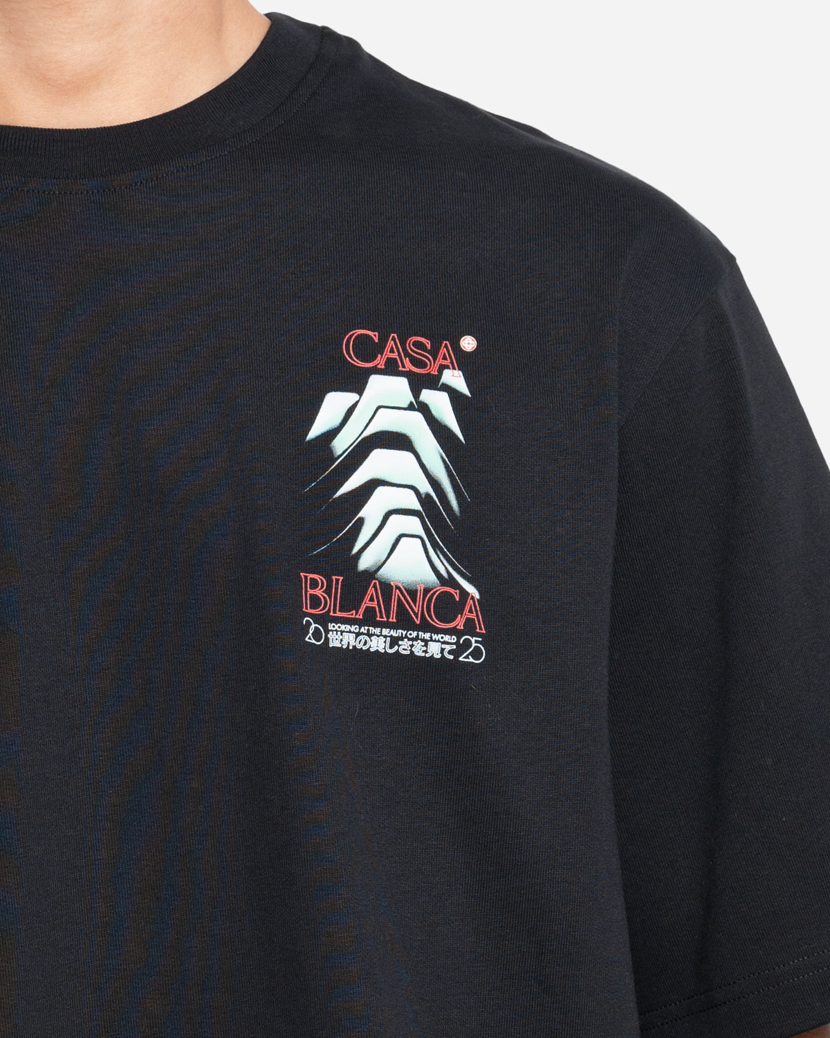 T-Shirt Frosty Mountain