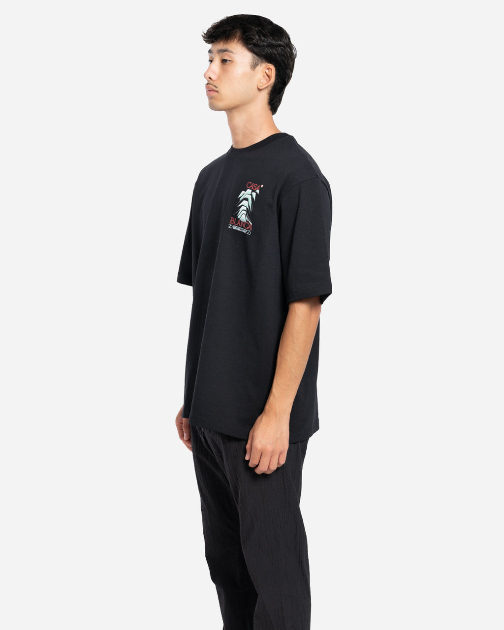 T-Shirt Frosty Mountain