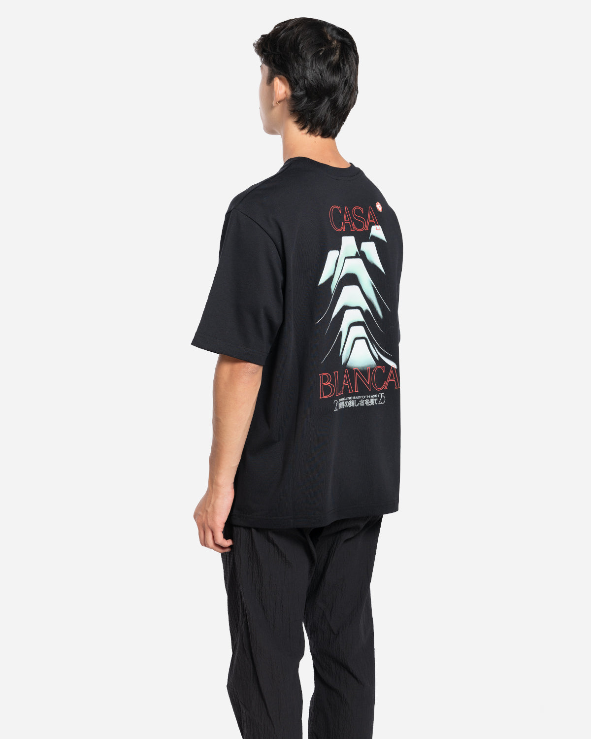 T-Shirt Frosty Mountain