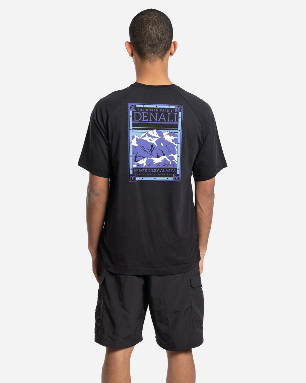 T-Shirt North Faces Noir